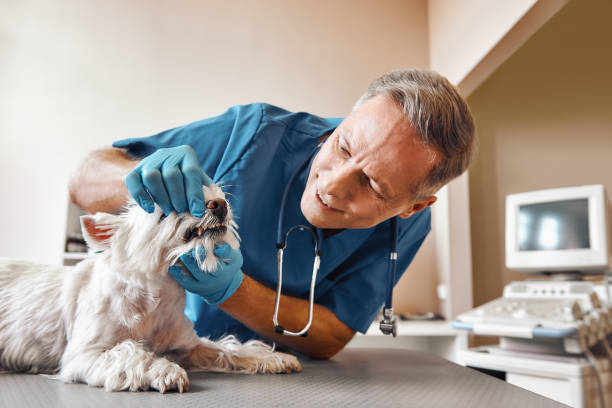 Best Same-Day Emergency Appointments in Sansom Park, TX